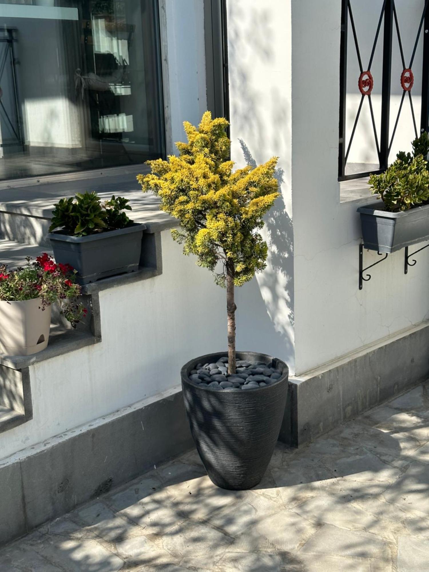 Garden Lounge Hotel 耶烈万 外观 照片