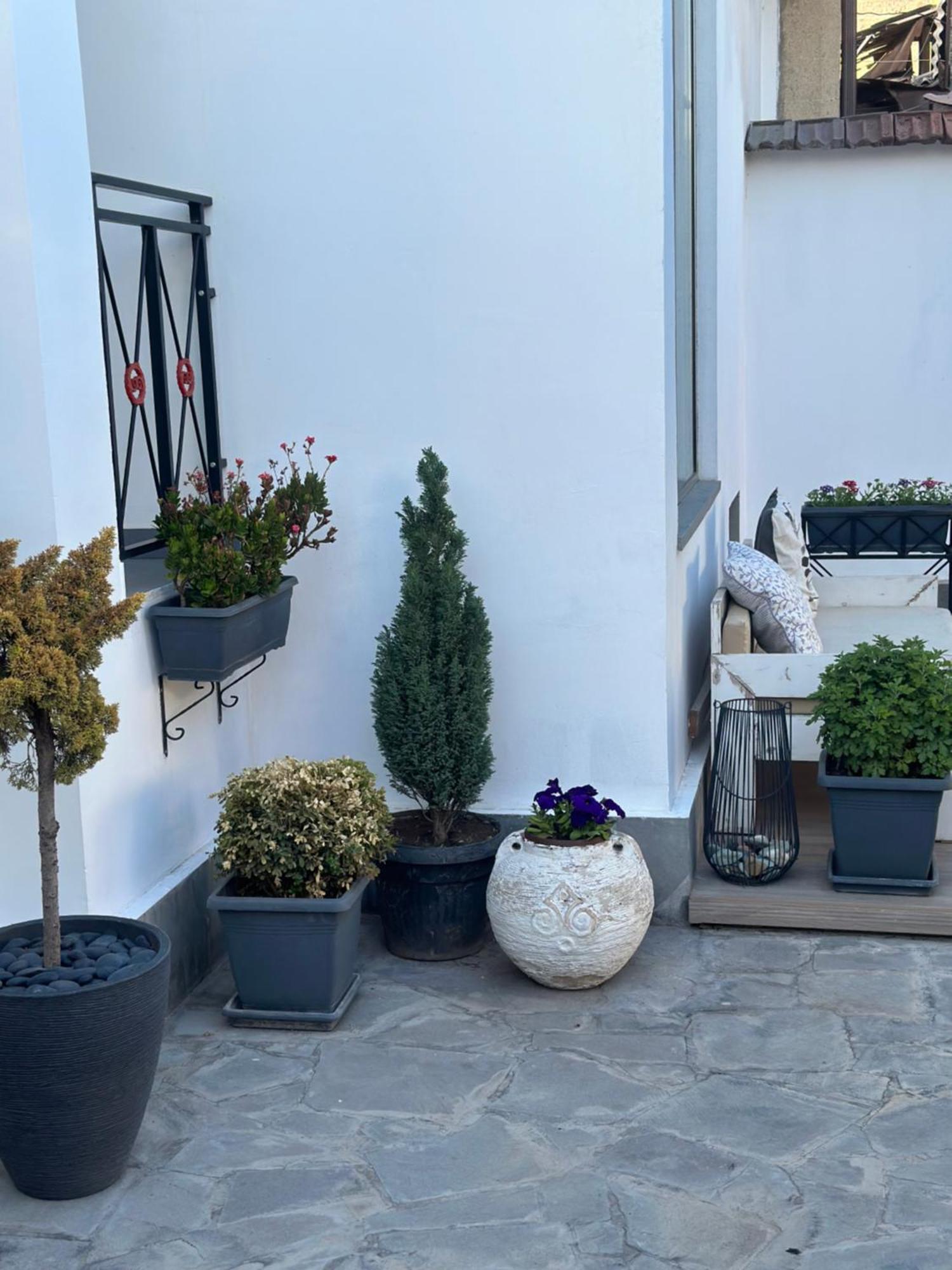 Garden Lounge Hotel 耶烈万 外观 照片